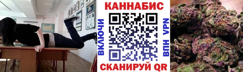 Канабис семена  наркотики  Дигора 